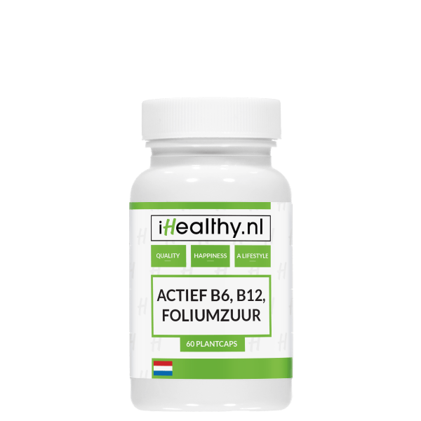 240.060---B6,-B12,-Foliumzuur-ACTIEF iHealthy.nl